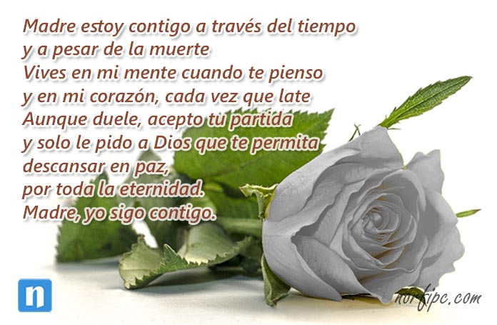 Poemas para recordar a un ser querido fallecido ※ - Iluminación Digital