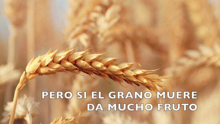 Si el grano de trigo no muere letra - Letra de Entre Tus Manos